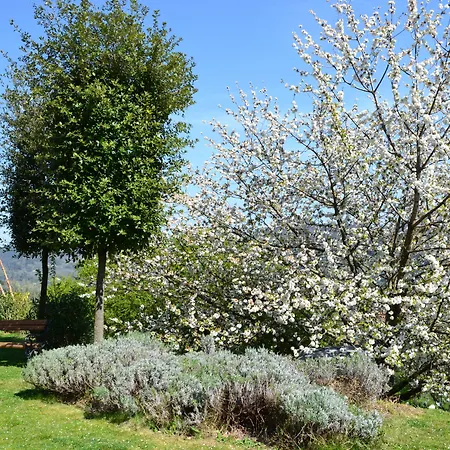 Farmház Monte A Pescia