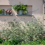 Alloggio per agriturismo Monte A *