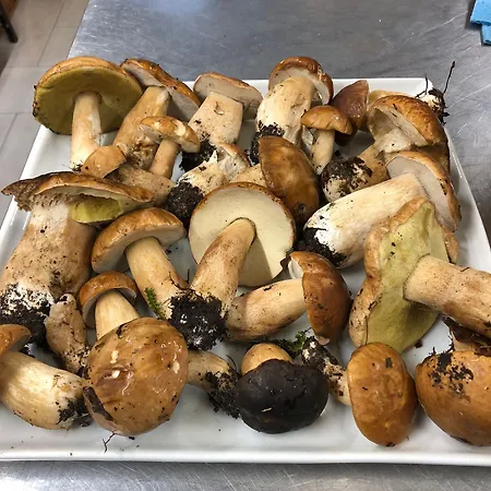 Alloggio per agriturismo Monte A Pescia