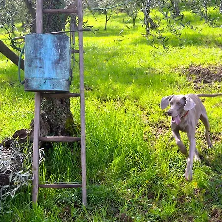 Agroturismo Monte A