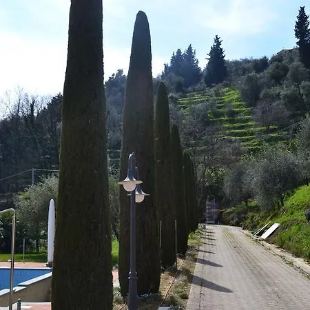 Monte A