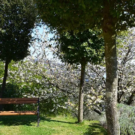 Monte A * Pescia