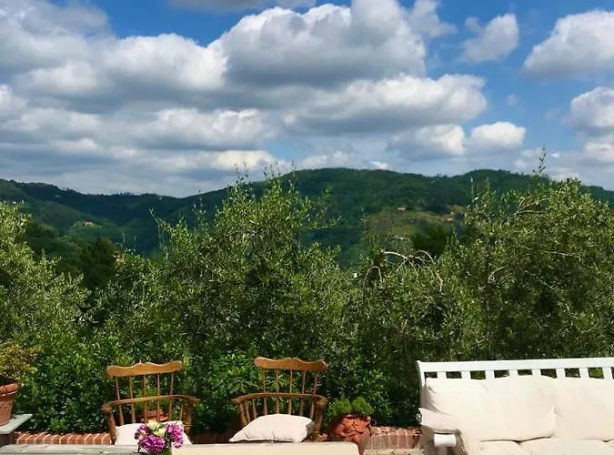 팜스테이 Monte A *