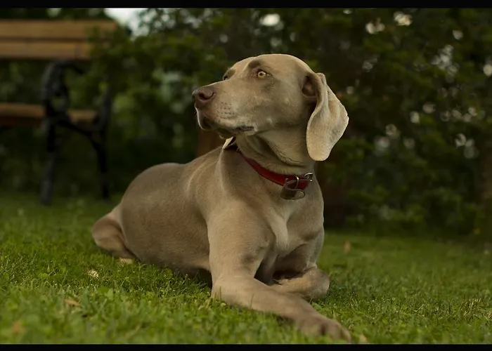 Monte A 팜스테이 페시아