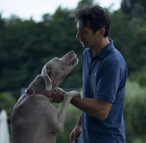 팜스테이 Monte A