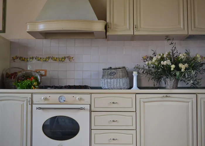 팜스테이 Monte A *