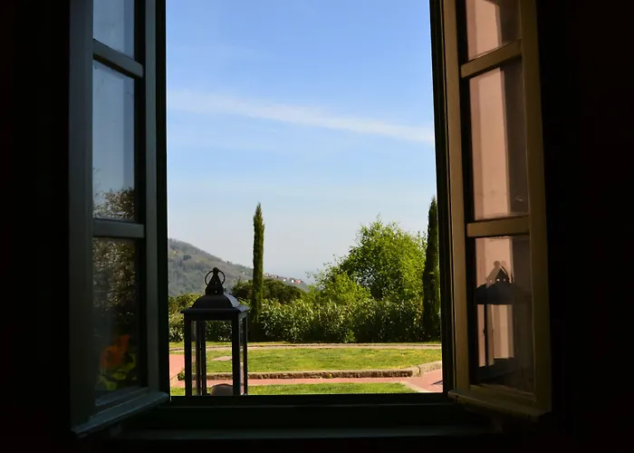 팜스테이 Monte A *