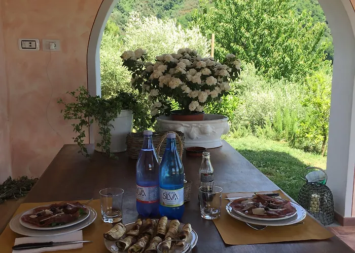 Monte A 팜스테이 *