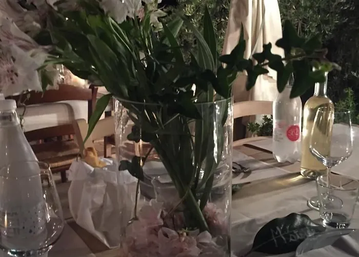 팜스테이 Monte A