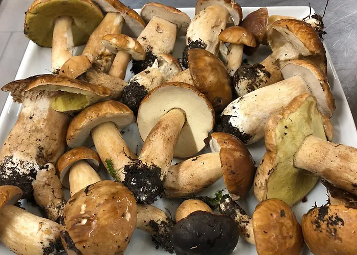 팜스테이 Monte A 페시아