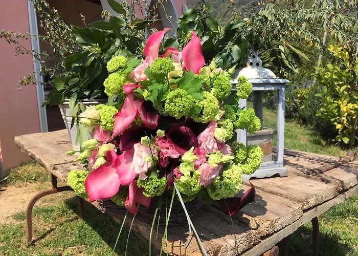 팜스테이 Monte A 페시아