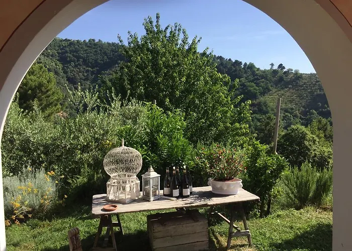 팜스테이 Monte A