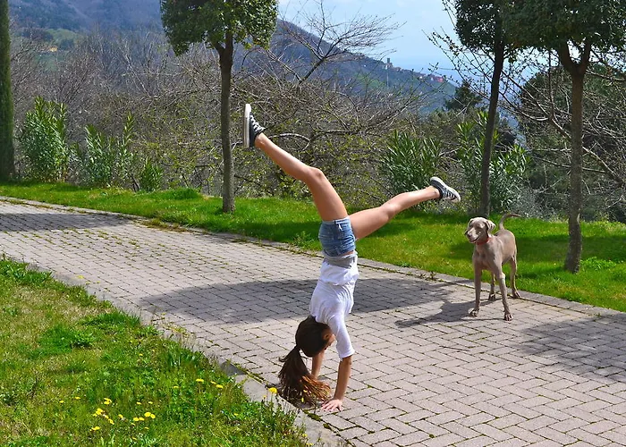 팜스테이 Monte A