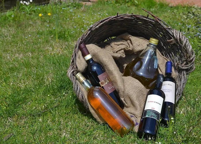 팜스테이 Monte A