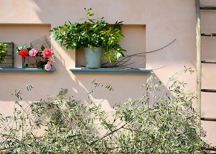 팜스테이 Monte A 페시아