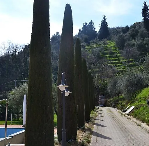 Monte A