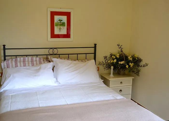 팜스테이 Monte A