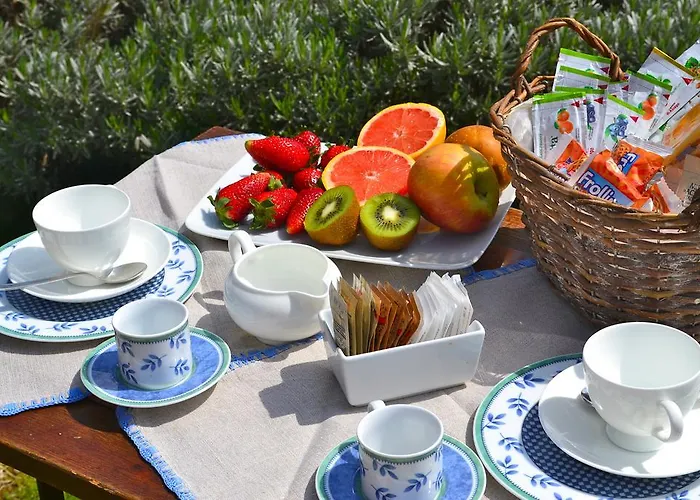 팜스테이 Monte A