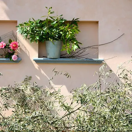 Фермерский дом Monte A Пеша