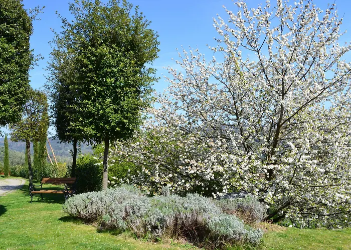 Alojamento de Turismo Rural Monte A Pescia